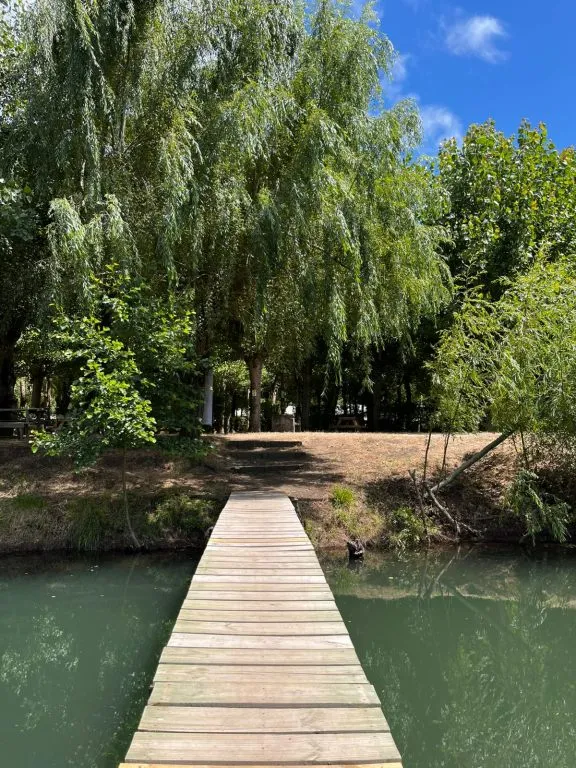 Vista del río tranquilo desde el puente de madera rodeado de árboles frondosos en Camping San José